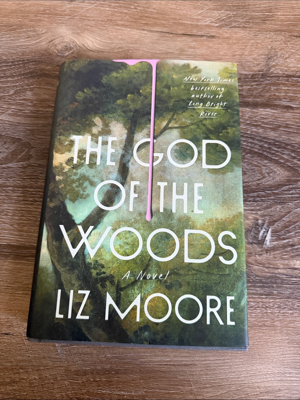 Liz Moore The God of the Woods